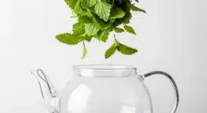 Fresh lemon balm leaves being prepared for a lemon balm recipe for weight loss, shown above a clear glass teapot.