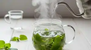 Hot, steaming water being poured into a glass teapot to create an easy lemon balm recipe for weight loss.